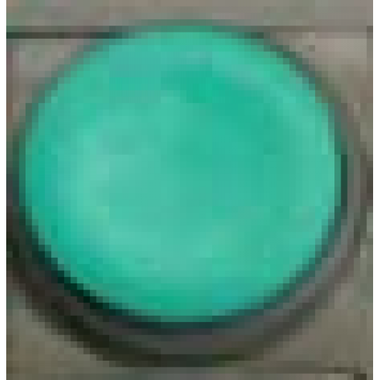 Green button - 83-0009