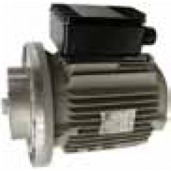 Motor 3HP 1PH 4 poles (100L-M-B5 2.2kW)