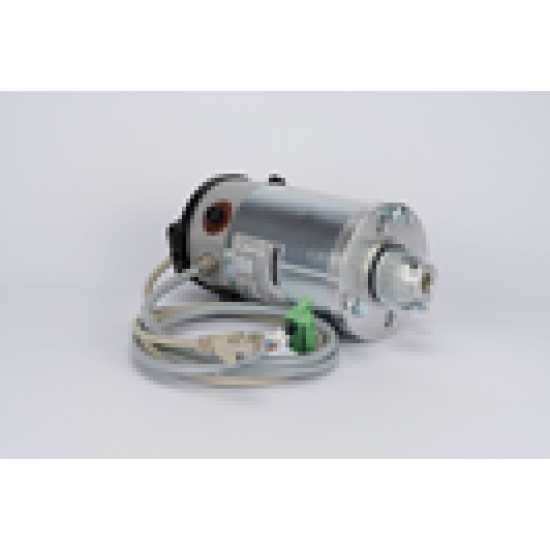 1 Nm DC motor with optical encoder, 200V dc BL-B105AAAX01 - BL-B105AAAX01