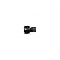 BLEEDING SCREW for platform M6x10 DIN 912