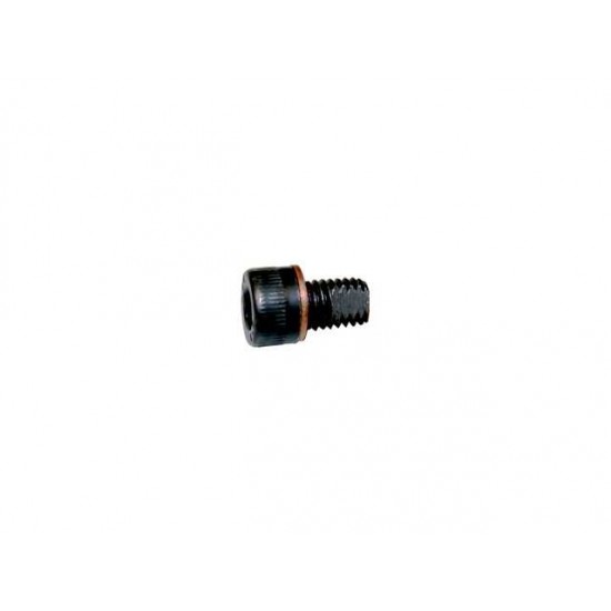 BLEEDING SCREW for platform M6x10 DIN 912 - 6310001