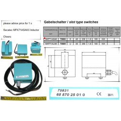 MAGNET SWITCH slot switch 70 x 60 x 70mm, 5m cable with wire end ferrules