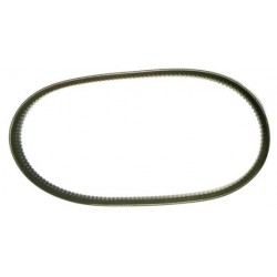 10/41.430 COGGED V BELT AX30 –(FP MODEL) (TYPE Altura-Gold)