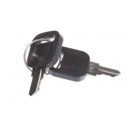 06/44.674-01 KEY for SWITCH BISTABLE (TYPE Altura-Gold)
