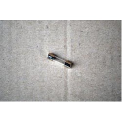 06/00.488 GLASS FUSE 5X20 2,5A (TYPE Orion-Gulliver)