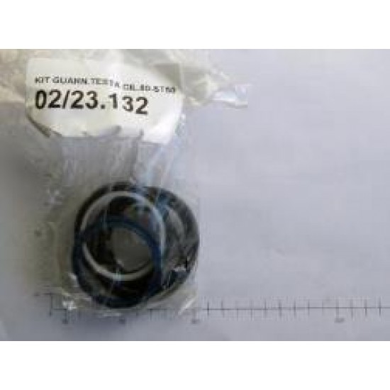 02/23.132 LINING KIT FOR CYLINDER HEAD - CYL D80-S (TYPE Orion-Gulliver)