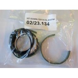 02/23.134 LININK KIT FOR CYLINDER HEAD - CYL D85-S (TYPE Orion-Gulliver)