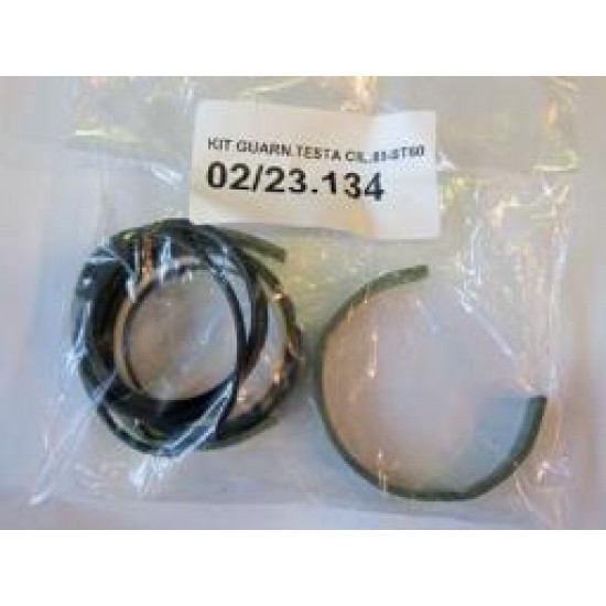 02/23.134 LININK KIT FOR CYLINDER HEAD - CYL D85-S (TYPE Orion-Gulliver)
