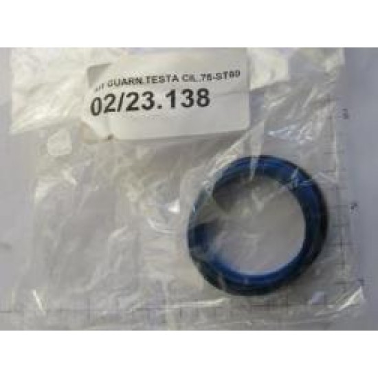 02/23.138 LINING KIT FOR CYLINDER HEAD - CYL D75-S (TYPE Orion-Gulliver)