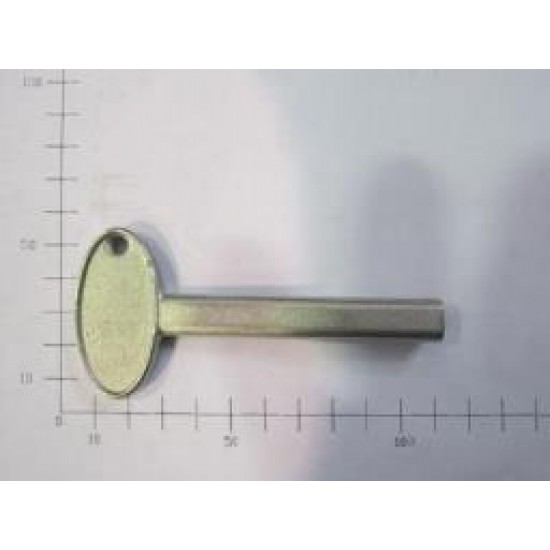 05/50.131 TRIANGULAR EMERGENCY KEY (TYPE Orion-Gulliver)