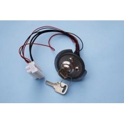 06/23.010 INSTABLE ROUND KEYSWITCH (KEY CODE 542)- NEW (TYPE Orion-Gulliver)