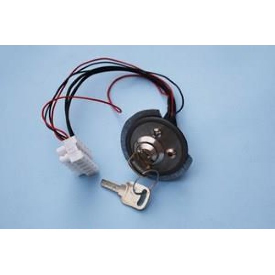 06/23.010 INSTABLE ROUND KEYSWITCH (KEY CODE 542)- NEW (TYPE Orion-Gulliver)