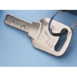 02/23.108 KEY FOR INSTABLE HEY SWITCH (CODE 542) (TYPE Orion-Gulliver)