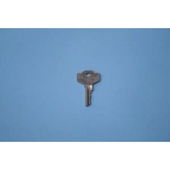 02/23.128 KEY FOR STABLE HEY SWITCH (TYPE Orion-Gulliver)