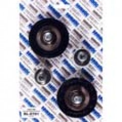 2 x C144AATA: Roller D.69mm (external 76mm) for carriage (upper roller) and 2 x C144AAOP01: Lower carriage kicking roller D.29mm (external 36mm) with eccentric