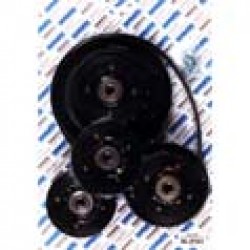 1 x B130AACX: Motor driving pulley with gear for K2-4-6Z; 1 x B130AABX: Tension pulley for toothed belt (only for F28-F29); 2 x B130AAAX: Tension pulley for toothed belt (only for F28-F29) and 1 x CX00XAAXAAL: 5 grooves motor belt for operator (Poly-V)