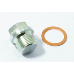 GUA0003: DRAINING PLUG AND SEALS FOR MR10/12/13/14/16 - SH110, MOTOR GROUP GEAR